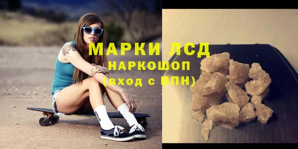 стафф Алзамай