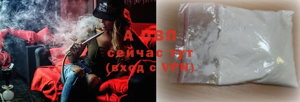 стафф Алзамай