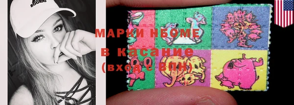 стафф Алзамай