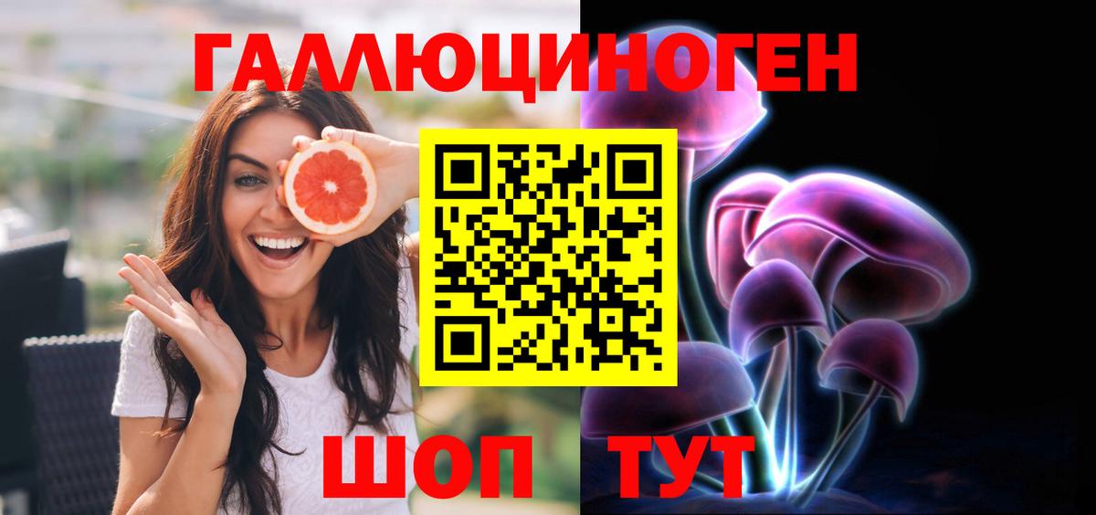 Галлюциногенные грибы Psilocybe Полевской
